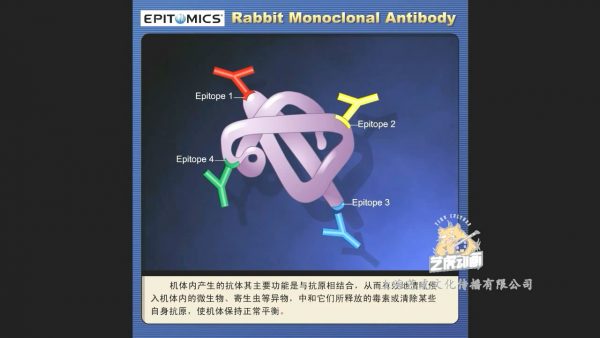 生物图片